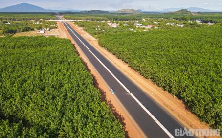 TOÀN CẢNH GẦN 100 KM CAO TỐC PHAN THIẾT - DẦU GIÂY VỀ ĐÍCH TRƯỚC 30/4